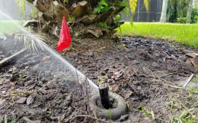 What To Do Before Requesting Sprinkler Repair Services