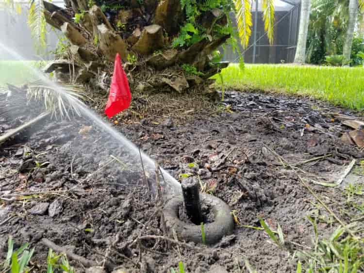 What To Do Before Requesting Sprinkler Repair Services
