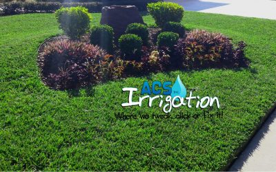 Top 5 Effective Lawn Irrigation Tips During Fall